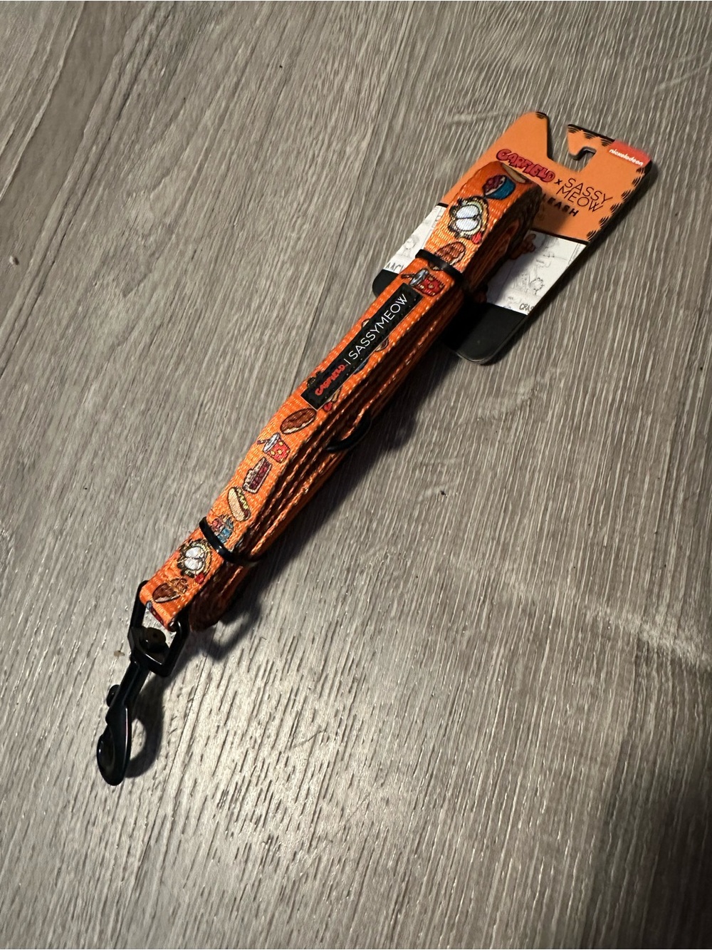 Sassy Meow Orange Dog Leash with Fun Pattern